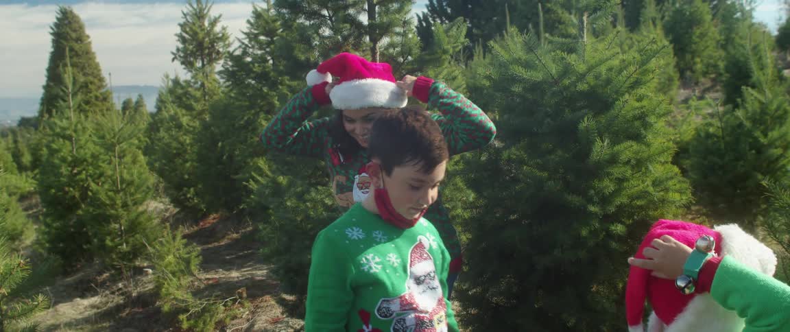A family shops for christmas trees at the farm