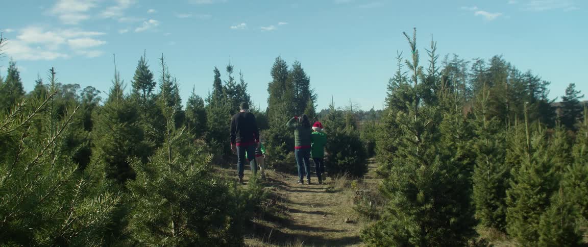 A family walking around a christmas tree farm