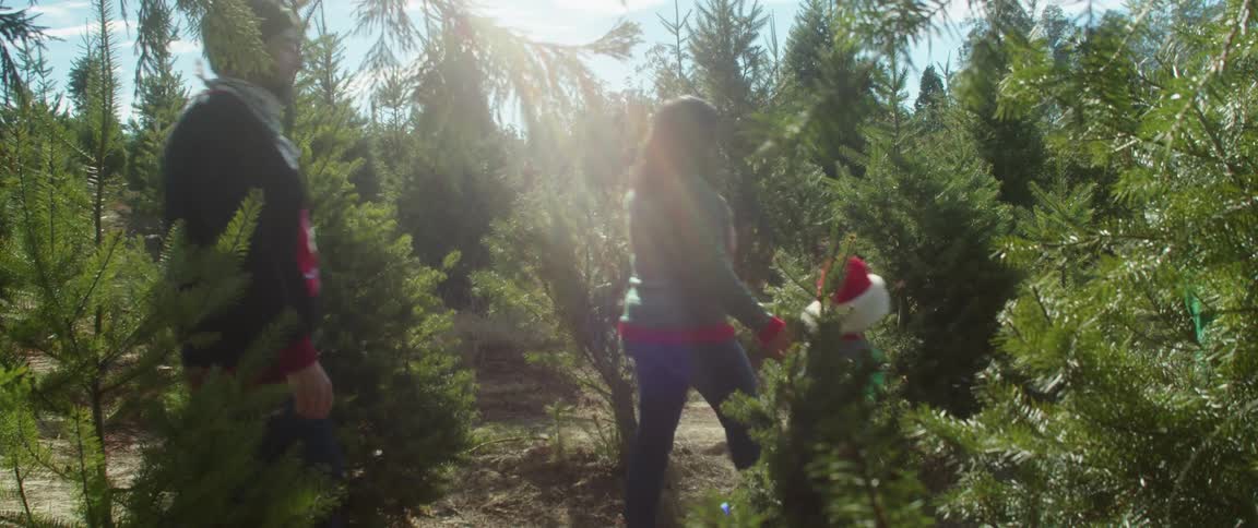 Family walks through christmas tree farm on sunny day