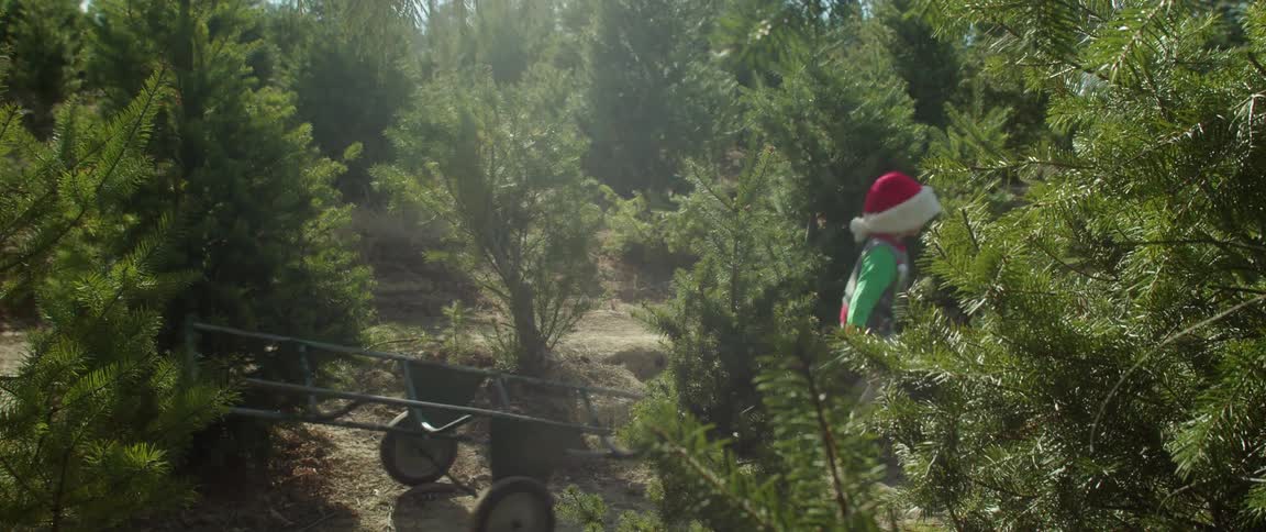 Kid wearing santa hat pulls cart through christmas tree farm