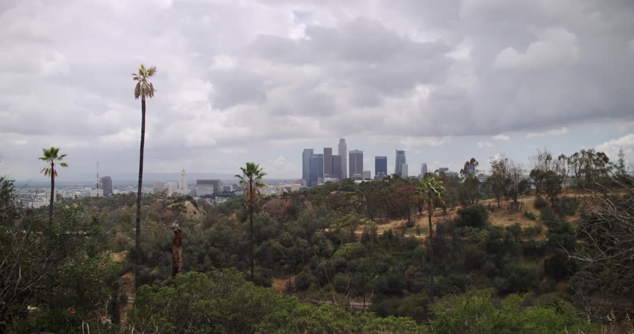 A city sits past the woods ahead