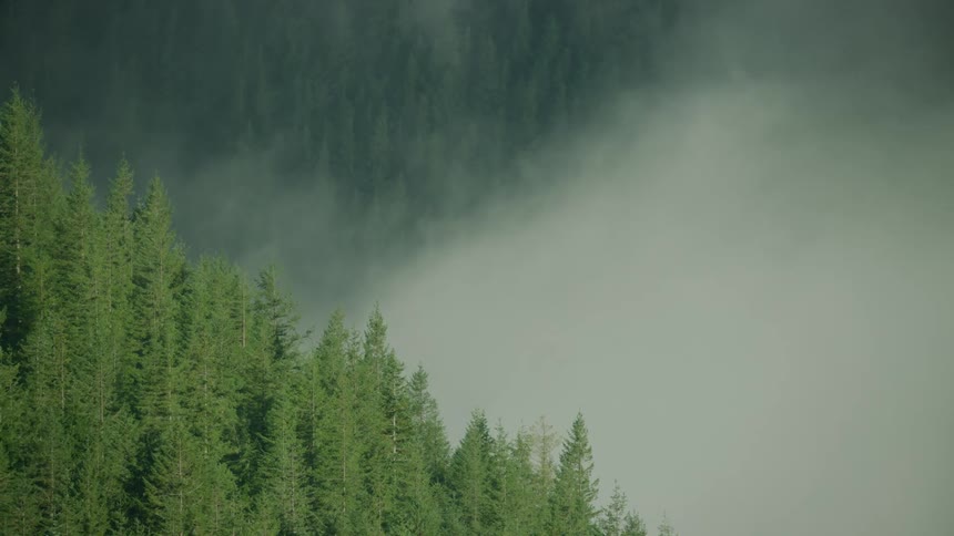 Thick fog is obscured in this low altitude aerial of a foggy river valley