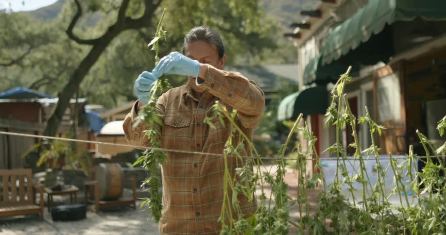 A man is carrying plants and hanging them on a line in front of a small store in a village in the daytime