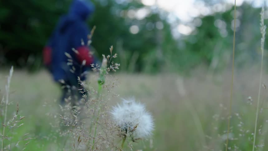 A boy is jumping and playing in a woodland field as he walks home from a long day of school