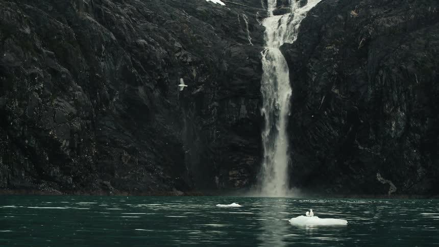 Waterfall cascades down the high cliff and the birds fly around