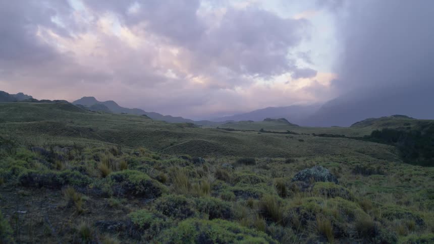 Slow pan to right of blue hour purple storm clouds low over yellow grasses