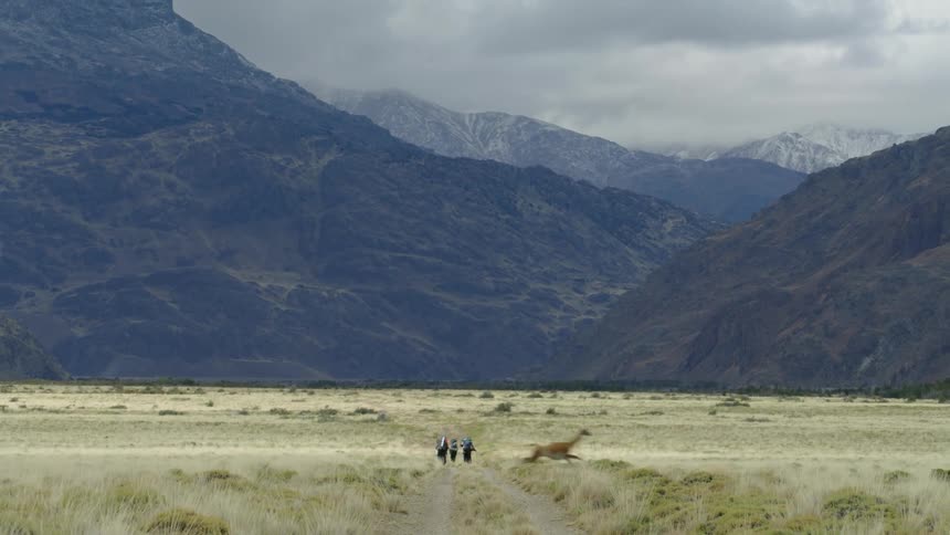 A Guanaco runs across the trail behind expedition backpackers as they explore a remote and pristine landscape