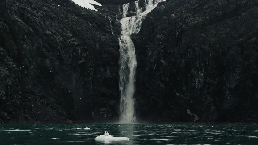 Dozens of birds fly around a waterfall as it plunges off a cliff into a river
