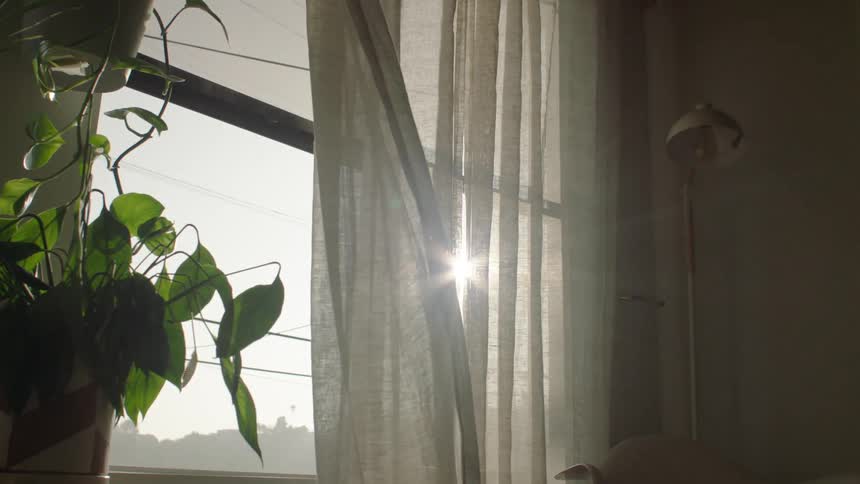 A view out the window of a house