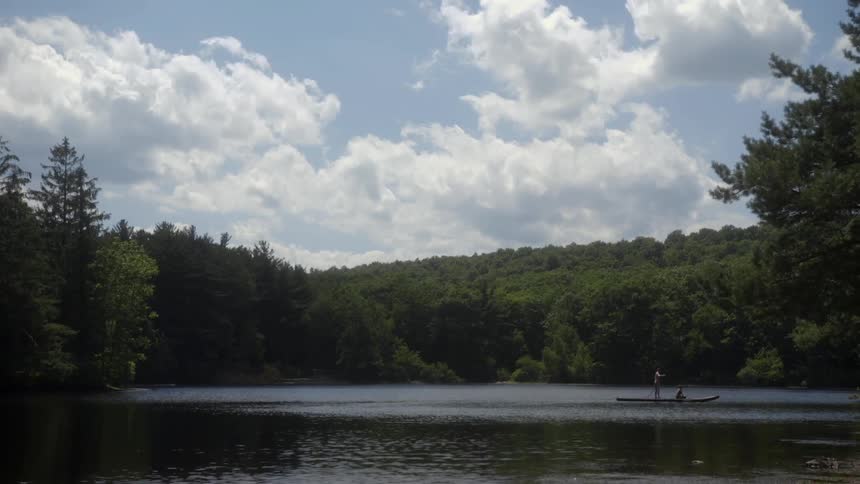 A small boat is moving in a lake surrounded by trees