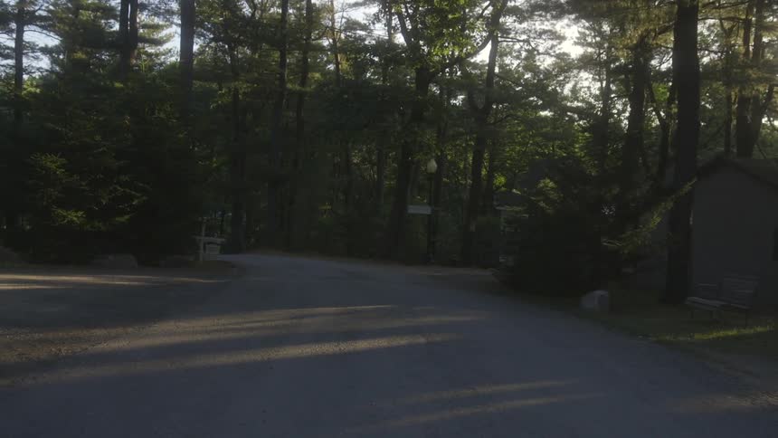 Empty road going through the wilderness