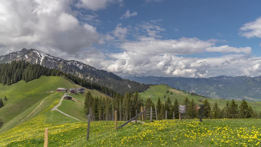 People walk along trail leading along top of hill toward buildings bordered by forest with mountain in background