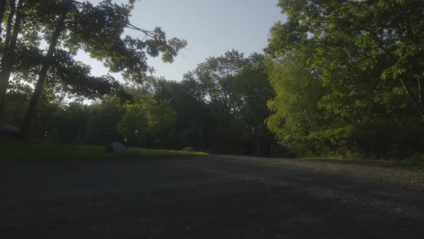 A grassy field leads to a forest
