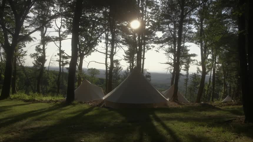 Three tents in a forest