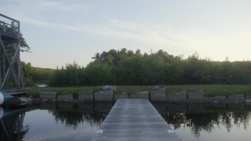 A forest near a river and bridge