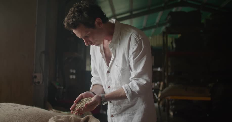 A man grabs a handful of beans from a burlap sack to examine