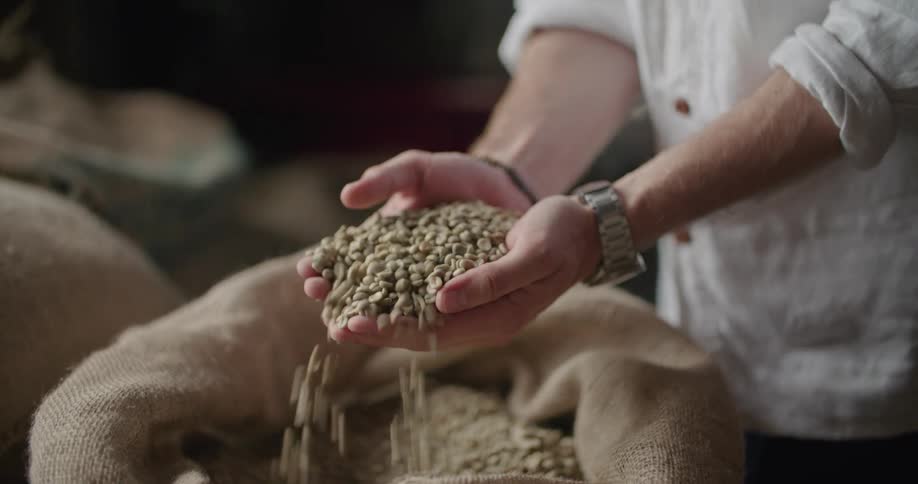 Person holding coffee beans