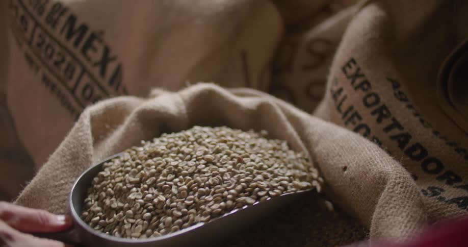 Person pulls scoop of beans from open sack sitting near other similar sacks