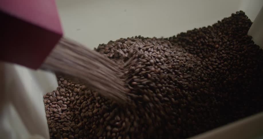Coffee beans are being spilled in storage box in coffee warehouse