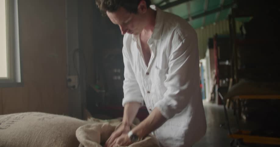 Man with white shirt and jeans carries a sack of coffee and checks the beans in the coffee warehouse
