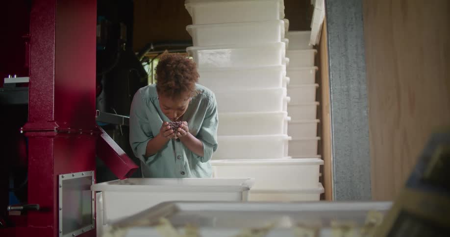 Female worker with curly hair and and turquoise shirt smells coffee beans in coffee warehouse
