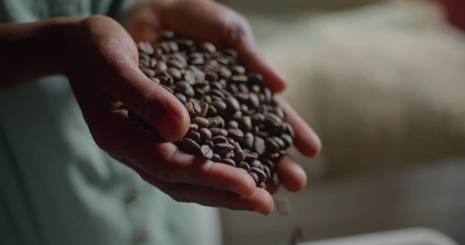 A person lifts coffee beans from a tub using their cupped hands before letting the beans slip through their fingers