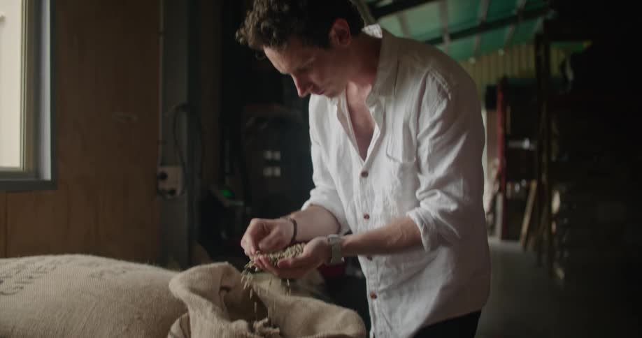 A man picks up a burlap sack filled with coffee beans and places it on a table to examine