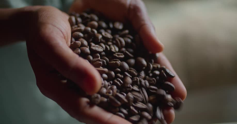 Person pouring coffee beans