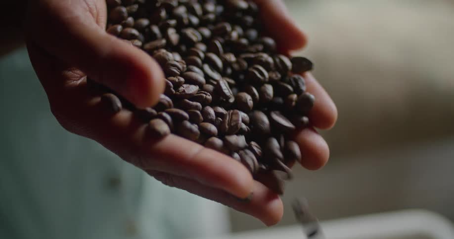 A woman pours out coffee beans from her gathered hands