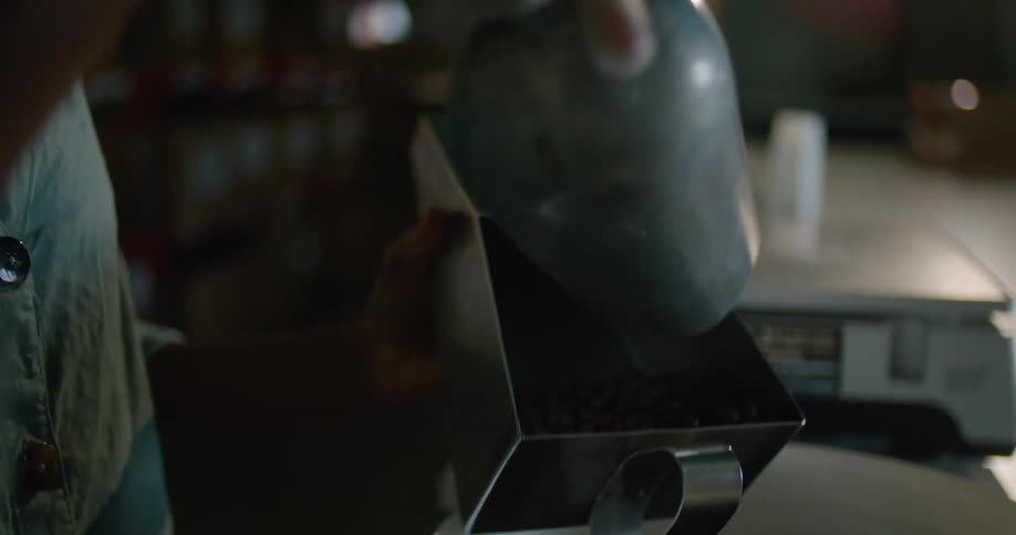 Female worker with curly hair and and turquoise shirt measures coffee beans in coffee warehouse