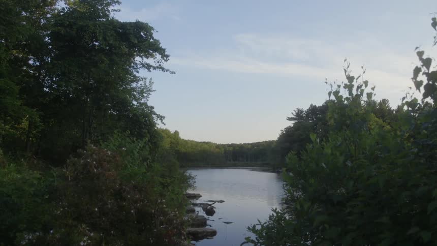 View of a small lake from between the trees