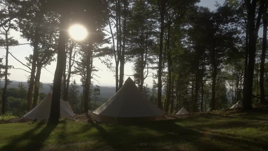 Tents are set under trees on this field