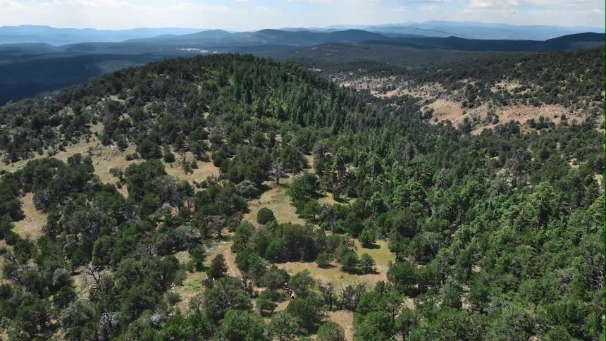 Aerial view people riding horses between the trees on a forest in the hills