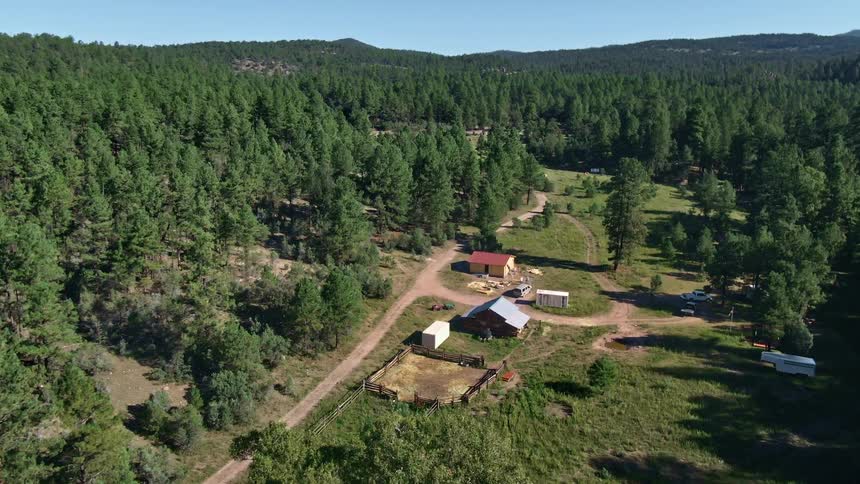 Aerial view of a a homestead on the countryside in the pine tree forest on the hills