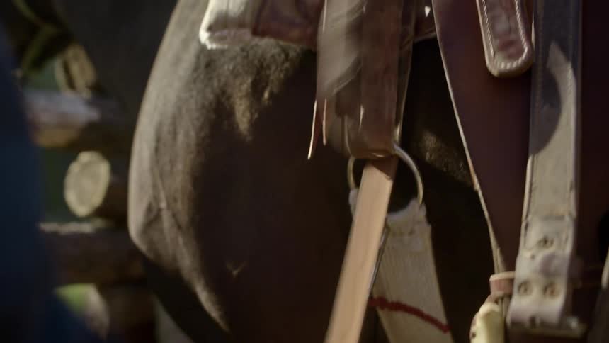 Man tightens saddle straps on horse standing near wooden fence