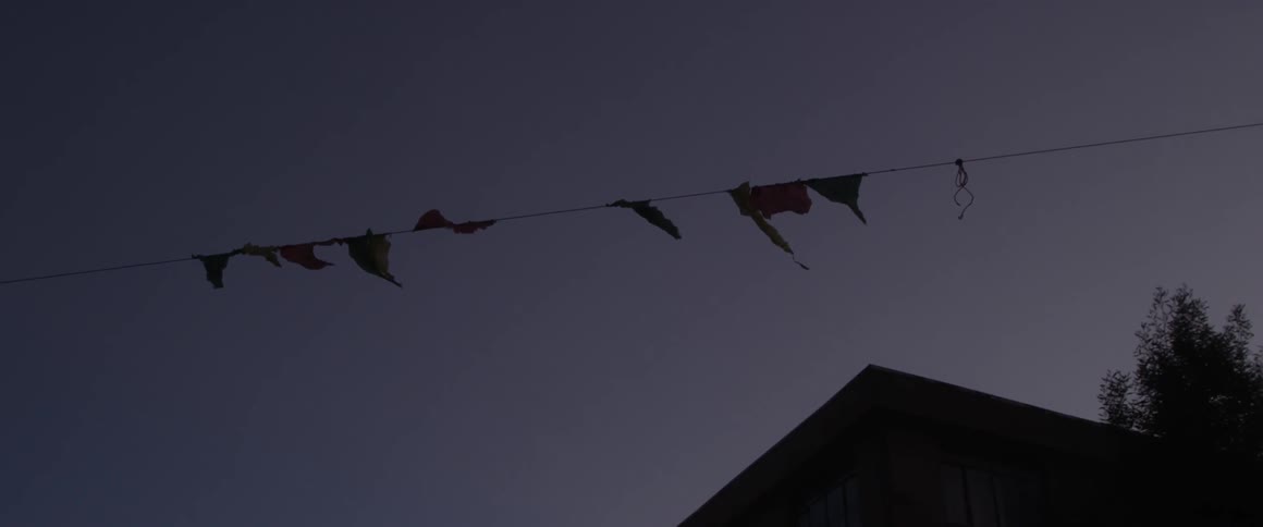 Flags on a rope waving in the breeze at dusk