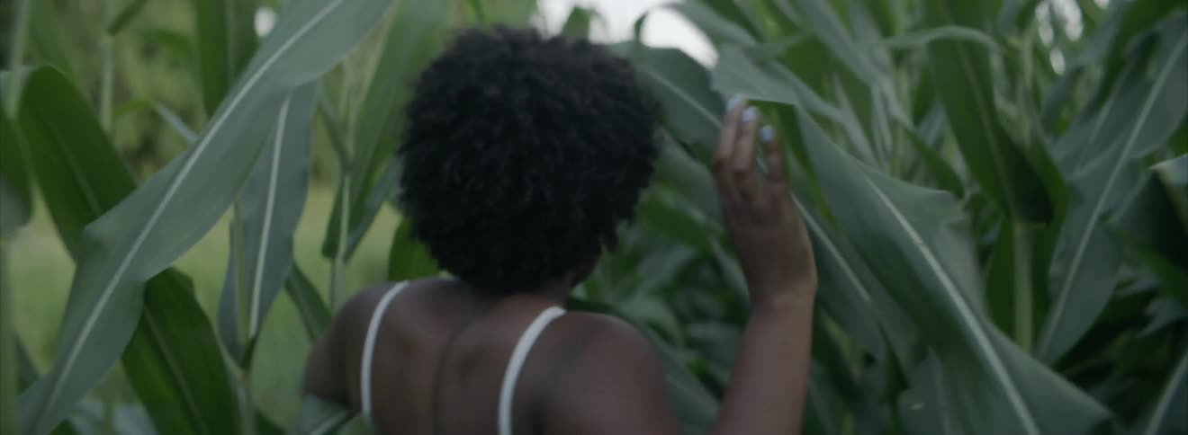 A woman walking in a cornfield stops, turns and stares