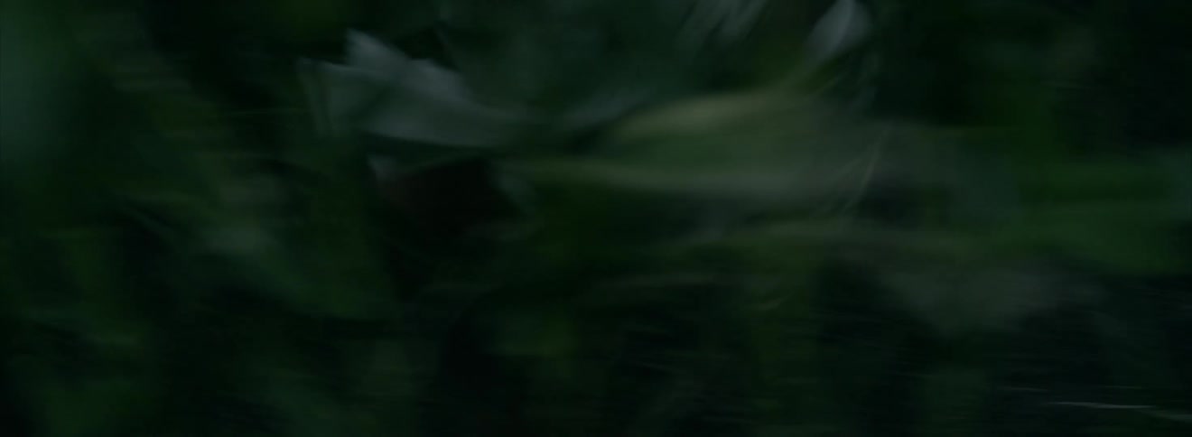 Woman suddenly runs through a cornfield looking anxious