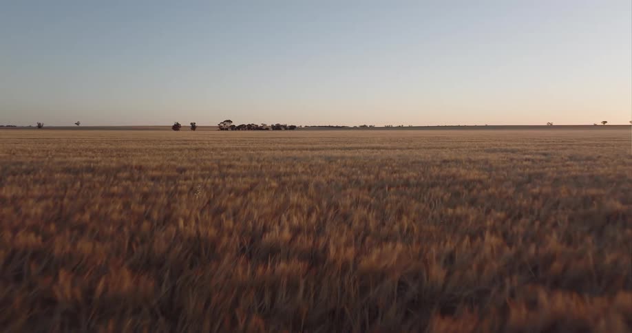 Open farmland under a clear sky