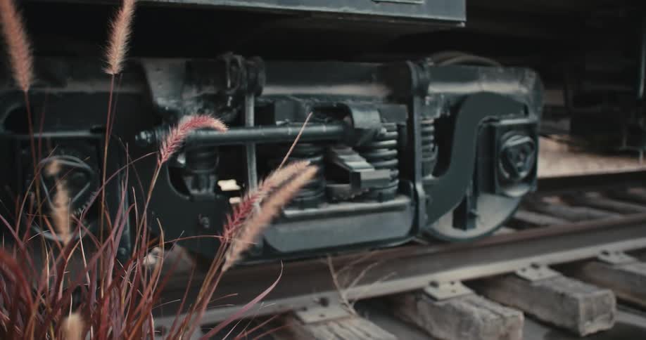 Train sits parked on tracks as wind stirs nearby grass stalks