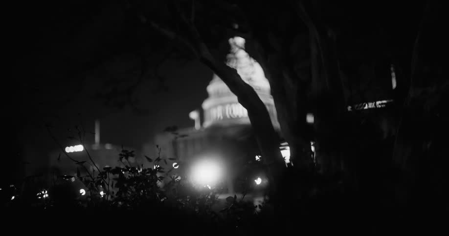 Leaves filter view of capitol building at night