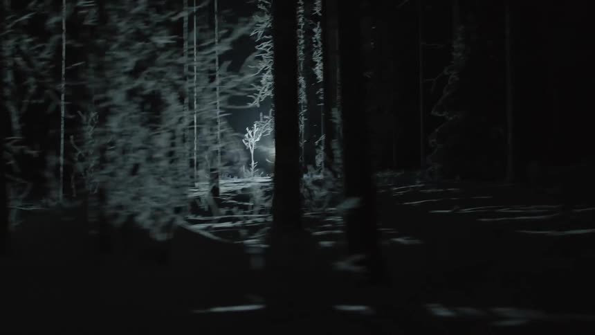 Moving through a snow covered forest at night as a bright light shines through the trees