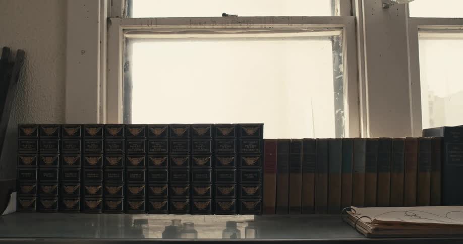 Reference books lined up with spines visible in front of windows