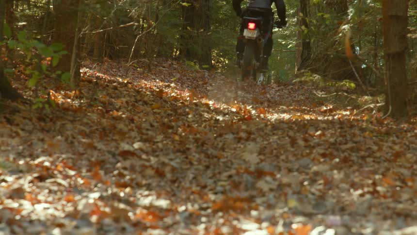 A motorcycle travels on a leaf covered forest trail