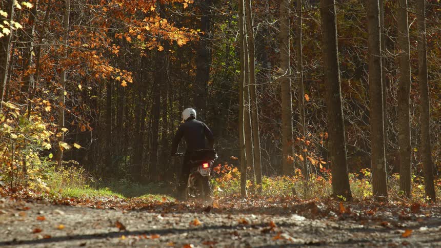 A cyclist is riding a motorcycle on a trail through a forest with fall colored leaves