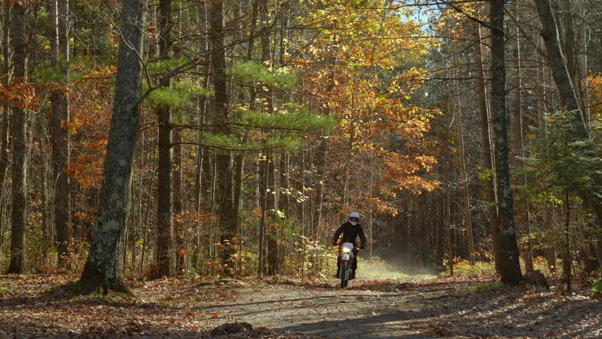 A cyclist is riding a motorcycle on a trail through a forest with fall colored leaves