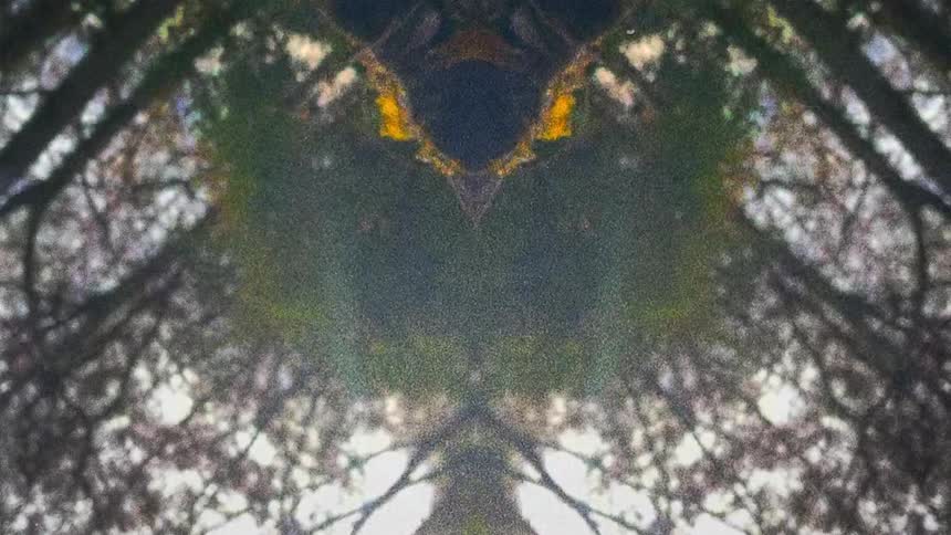 Reflected mirror image of water flowing on the forest at morning caught on vintage film