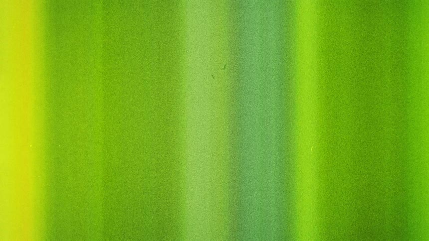 Colorful shimmering bright vertical green lights caught on vintage film
