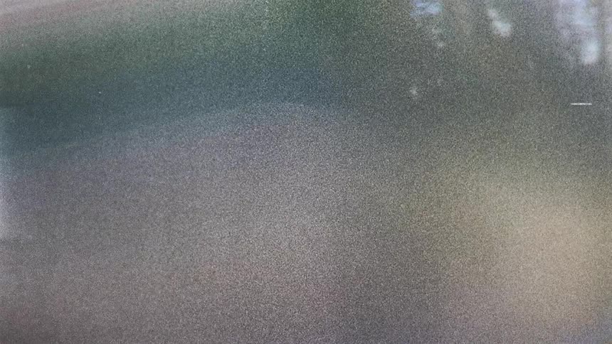 Obscure green and yellow lines move towards a glimpse of trees appearing through static