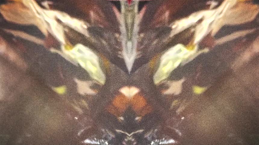 Abstract shapes and colors